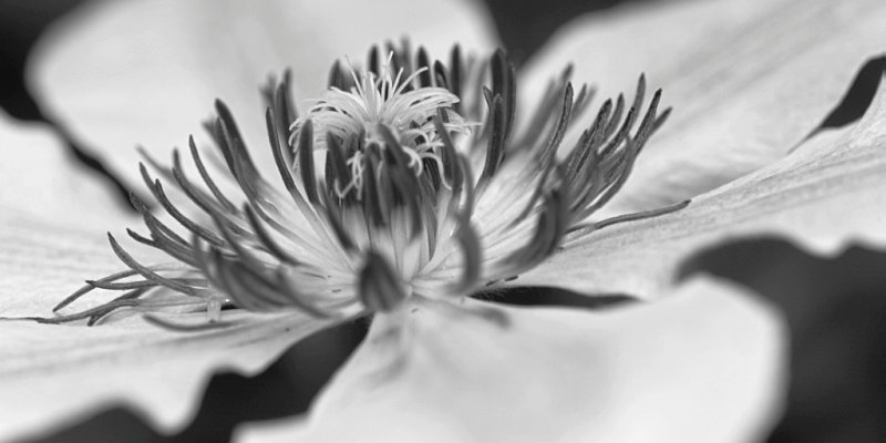 Negative Expression