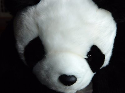 Panda Soft Toy