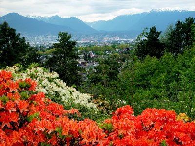 Vancouver - View from QE Park