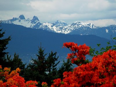 Vancouver Mountain Veiw