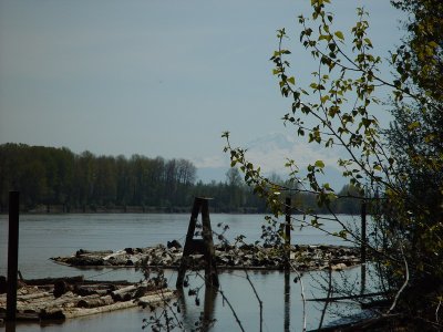 Fraser River, B.C., Canada