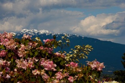 Vancouver in Spring