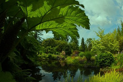 Queen Elizabeth Park, Vancouver, Canada