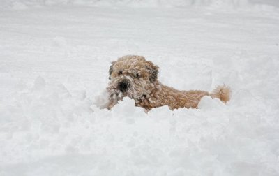 Just taking a Snow Break