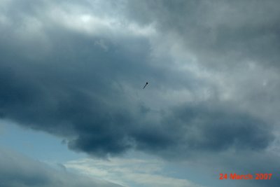 Rockets 070324-18.jpg