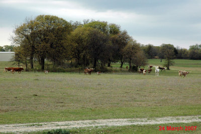 Rockets 070324-91.jpg