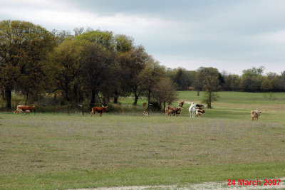 Rockets 070324-93.jpg