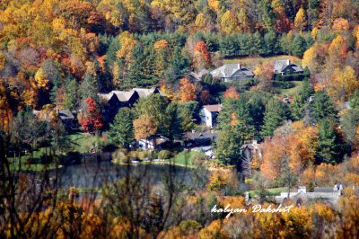DSC_01900281.jpg