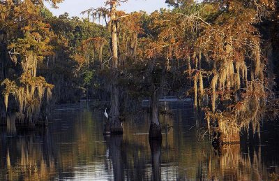 Bayou At Sundown