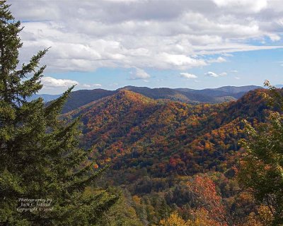 Fall Colors In The Smoky Mountains