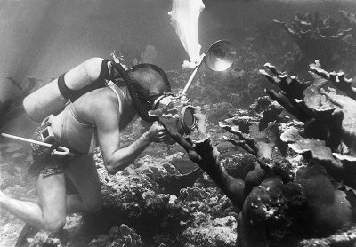 Diver Photographing Elkhorn Coral
