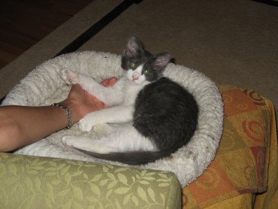 so tiny...