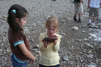 Looking for snails