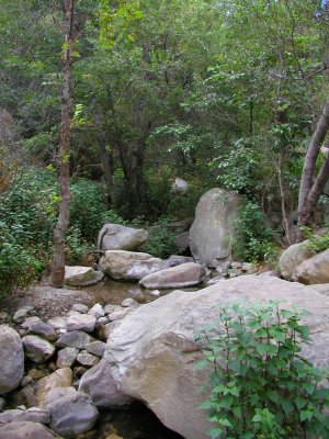 Cold Springs Canyon.jpg