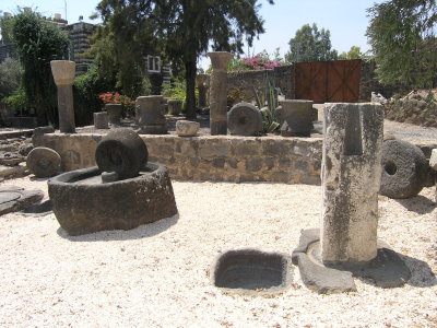 Capernaum Olive Press