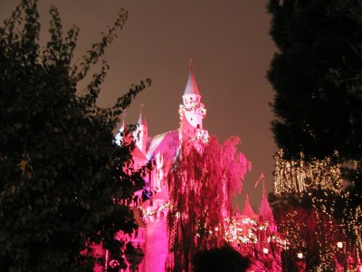 Christmas at Disneyland