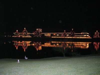 Scottsdale Christmas Lights