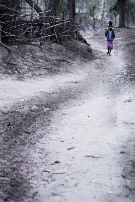 a well beaten path