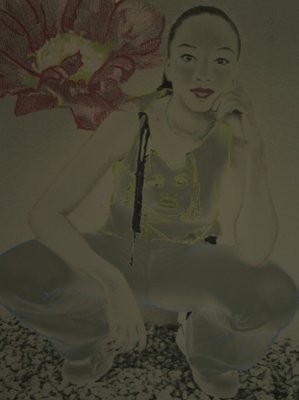 Invisible Beauty