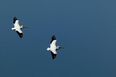 Starting Afternoon Soaring