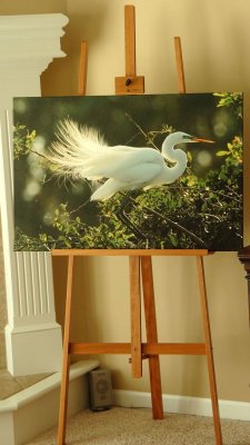 Canvas Wrap Easel Display