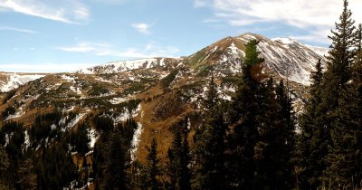 View from Upper Fall River Road