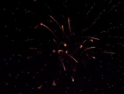 I got lucky with this shot. The flash went off the very instant the fireworks exploaded.