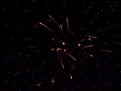 I got lucky with this shot. The flash went off the very instant the fireworks exploaded.