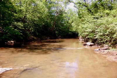 One of the neat things about where we live, is that it's both urban & rural. This creek is less than three miles from our house.