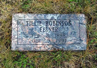 Above is a picture of the gravestone, which lies in Forrest Home Cemetery, Newberry, Luce County Michigan. Original is in possession of Salena Marie [Robinson] Mann.