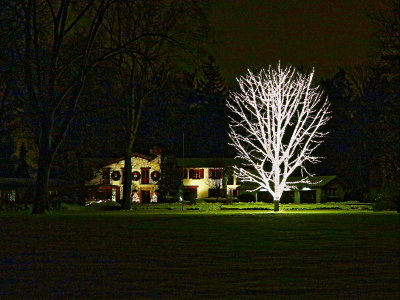 Christmas 2012