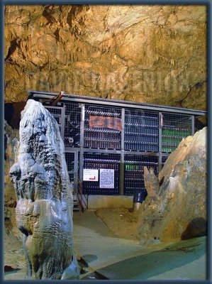 Awamori Cave Storage Vault
