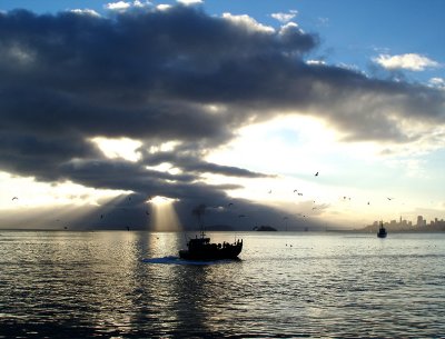morning has broken.jpg