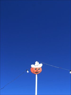 face on a stick.jpg