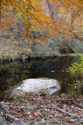 _Rocks and River