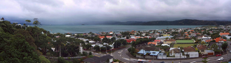 Seatoun on a Gray Day