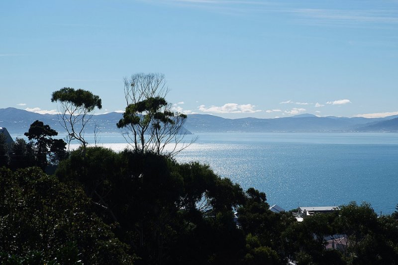 4 May 07 - Seatoun Views