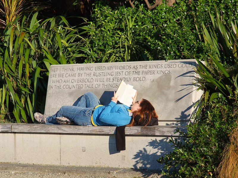 The Reader