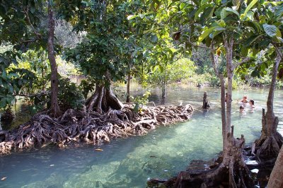 Natural stream at Tah Pom