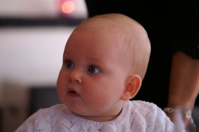 PICT0795.jpg