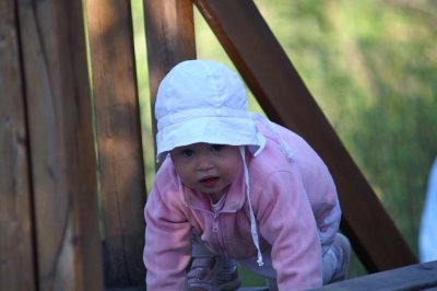 PICT0835.jpg