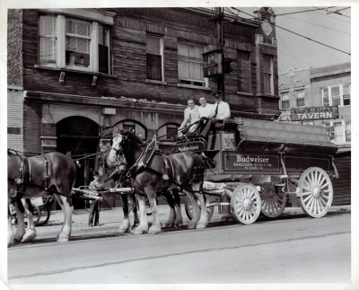 My Grandfather with the Budweiser horses outside his tavern, the Mont-Clark, in Chicago
