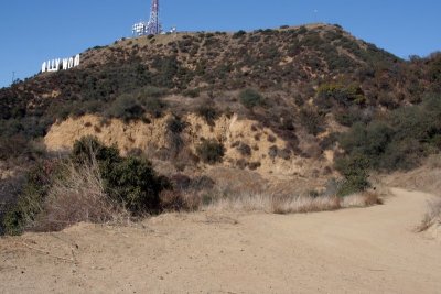 The trail