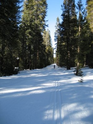 The trail and XC tracks