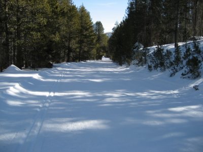 The trail (and XC ski tracks)