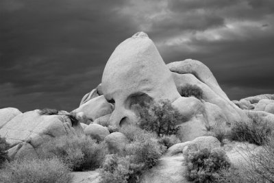 Joshua Tree National Park: Skull Rock and Moody Sky  (B&W)