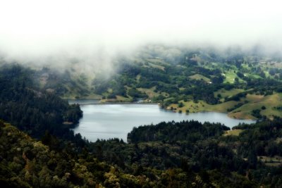 From Mt. Tam