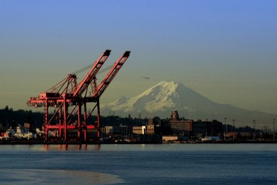 Port of Seattle, Mt. Rainier, and a Flock