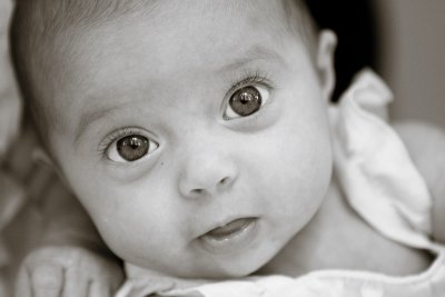 IMG_3769_bw.jpg