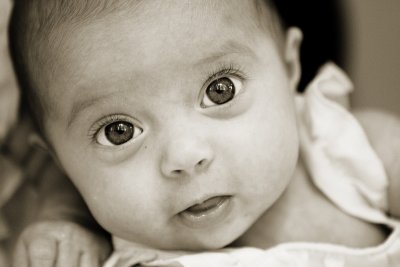 IMG_3769_sepia.jpg